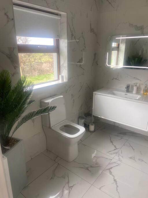 Modern Apartment At Croagh Patrick Westport Ngoại thất bức ảnh